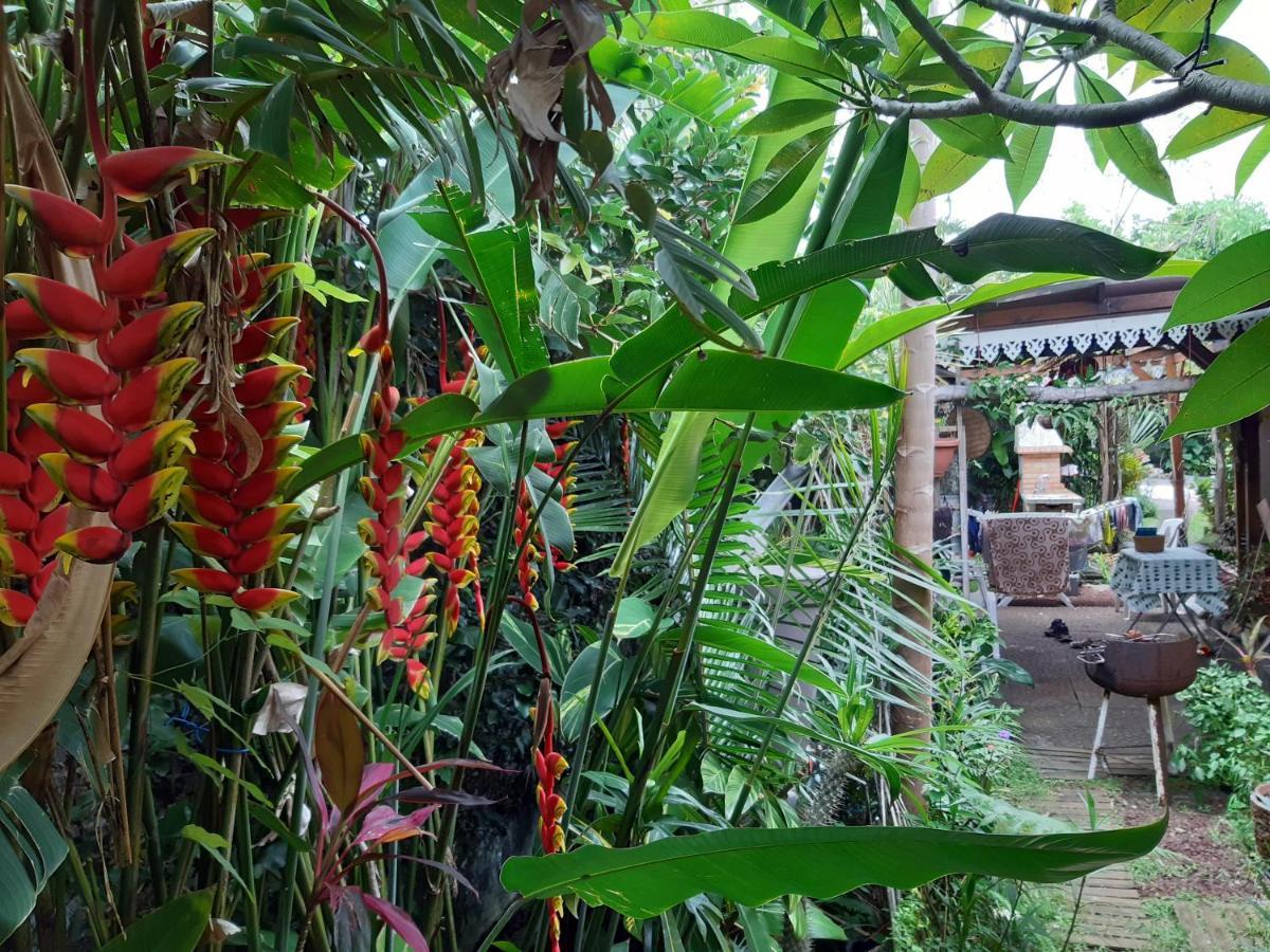 Vien a Zot' Appartement Bras-Panon Buitenkant foto